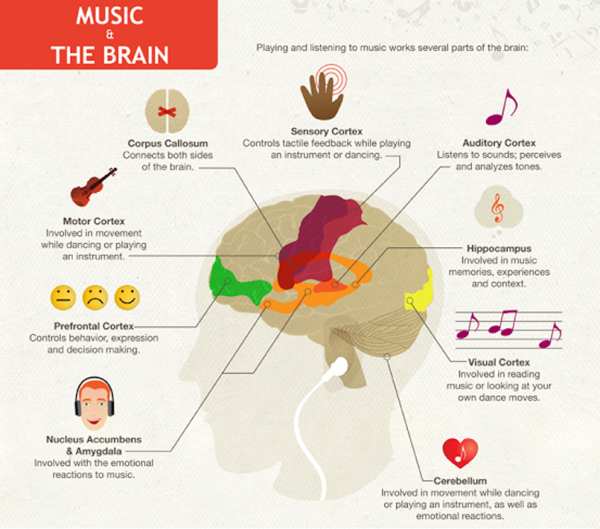 music-and-brain